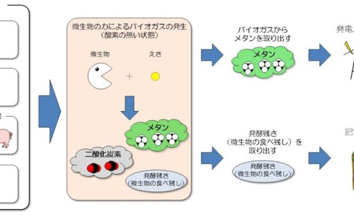 焦虑症病人为何容易发脾气-焦虑症病人都烦亲人吗、焦虑症病人家属该怎么做 -焦虑症病人适合的工作网