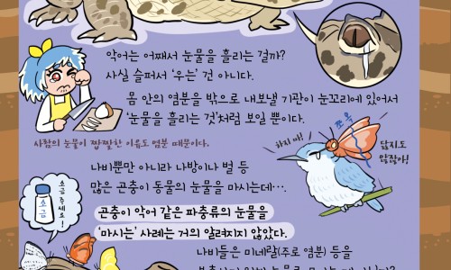焦虑症病人为何容易发脾气-焦虑症病人都烦亲人吗、焦虑症病人家属该怎么做 -焦虑症病人适合的工作网